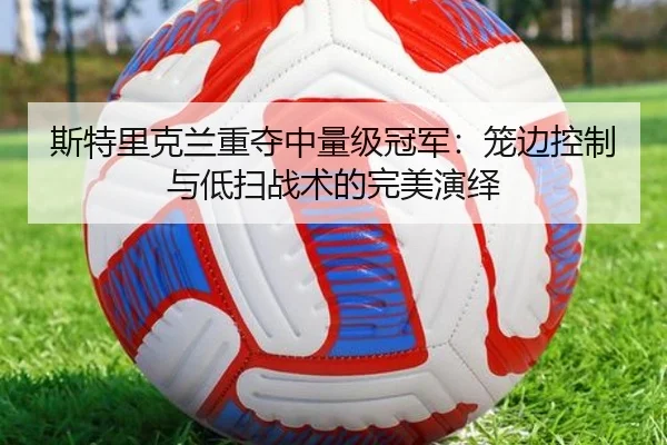 斯特里克兰重夺中量级冠军：笼边控制与低扫战术的完美演绎